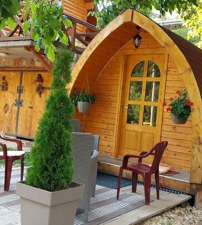 Vila Jelena - Bungalov Crni Vrh Екстер'єр фото